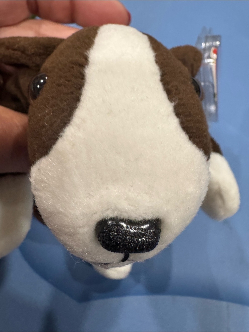 Ty Beanie Babies Bruno Plush Tag - White and Brown1999 Bruno Choc Bull Terrier